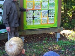 2025-09-24 Krasnale u leśniczego